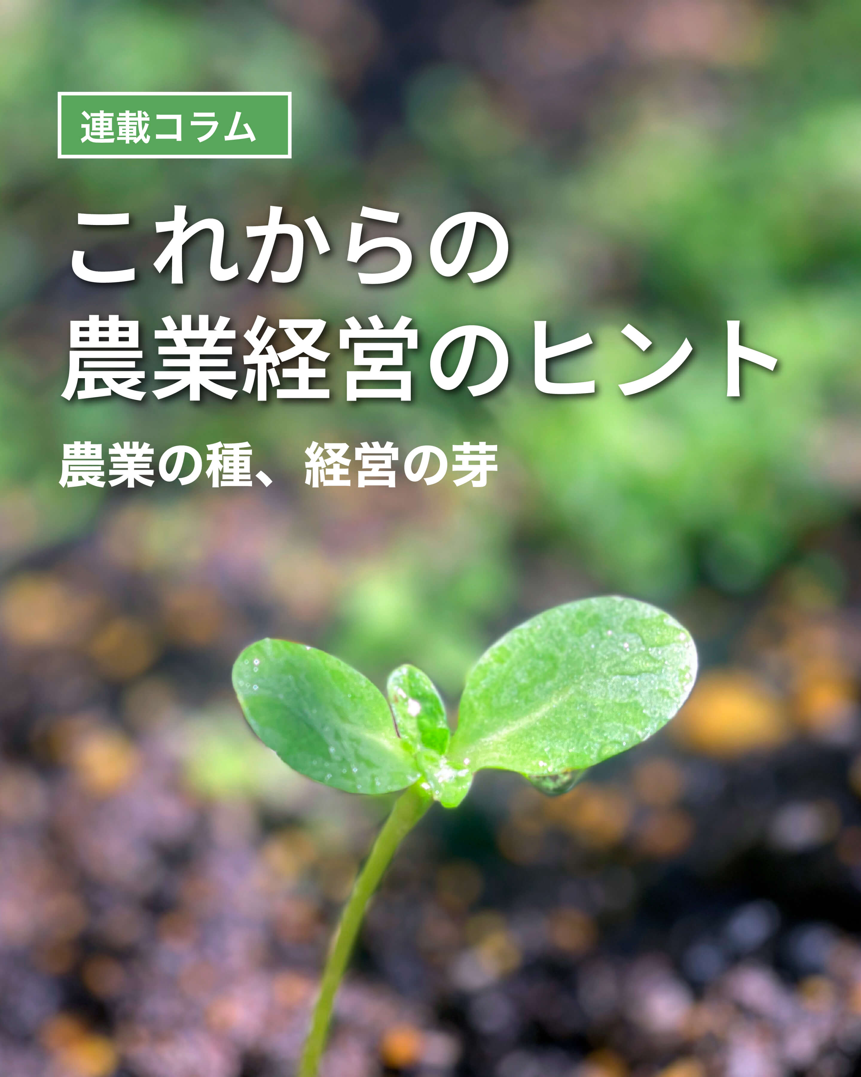 連載コラム　本田茂のこれからの農業経営のヒント